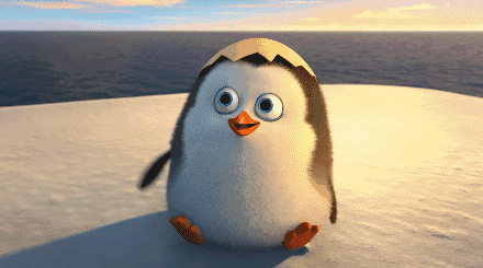 1495608622964256.gif 0 (1).gif