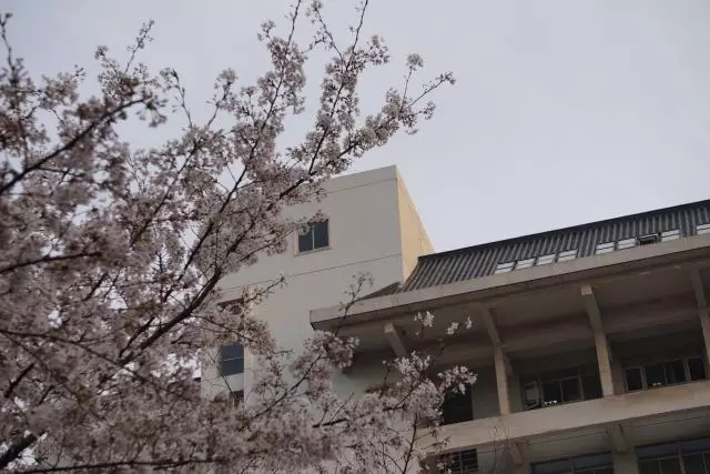 江苏省宁海商标事务所有限公司 江苏省宁海商标事务所有限公司