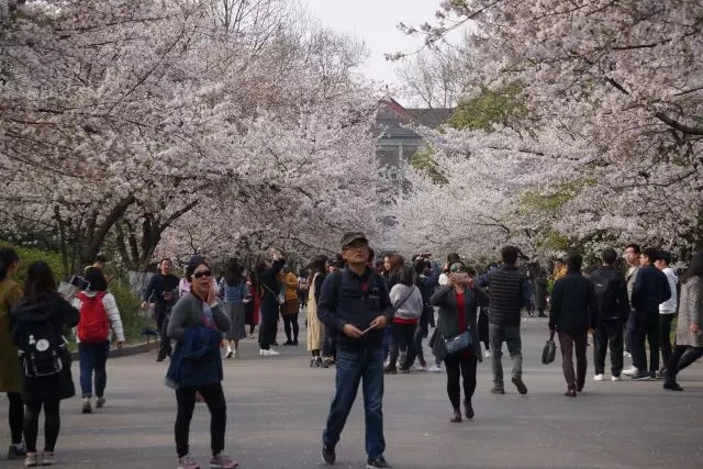 江苏省宁海商标事务所有限公司 江苏省宁海商标事务所有限公司