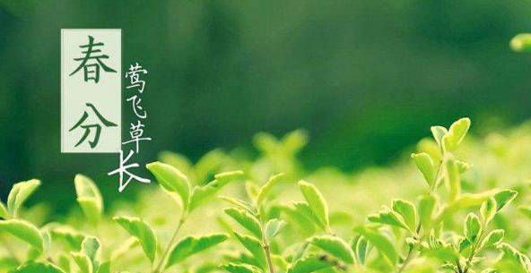 江苏省宁海商标事务所有限公司 江苏省宁海商标事务所有限公司